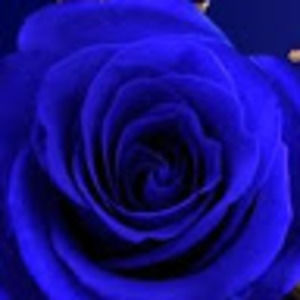 Meet your Posher, Buhahahaha